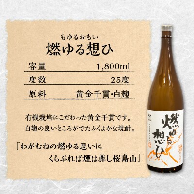  【相良酒造】鹿児島限定一升瓶セット　K004-008