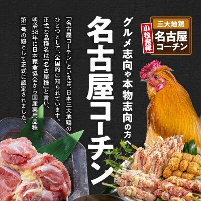 名古屋コーチン堪能セット「名古屋コーチン入りチキンボール」と「名古屋コーチン卵」[001T15-C]