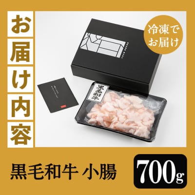 鹿児島県産 黒毛和牛 小腸 700g