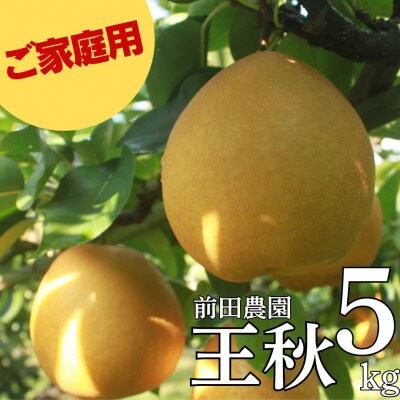 ■前田農園■王秋5kg〔ご家庭用〕(13MZ.)