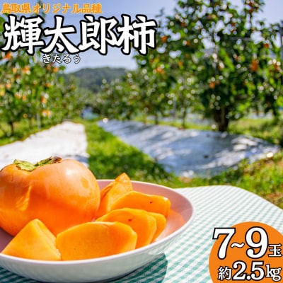 輝太郎柿7～9玉(21MZ.)