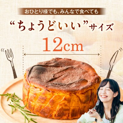 【へきなん美人たっぷり!】極 へきなん美人のチーズケーキ 4号 12㎝ H206-001