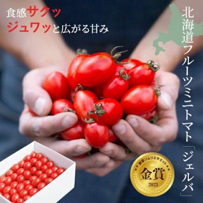 2027年発送 金賞受賞 北海道フルーツミニトマト【ジェルバ】1.2kg【Farm of Soul】
