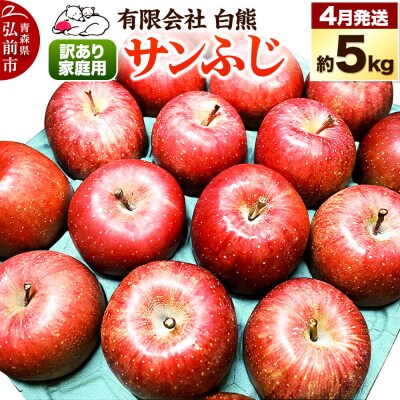 りんご 訳あり家庭用 白熊 サンふじ 約5kg(14～20玉程度)|24_srk-030501f