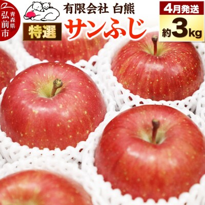 りんご 特選 白熊 サンふじ 絆 約3kg(9～12玉程度)|24_srk-040301f