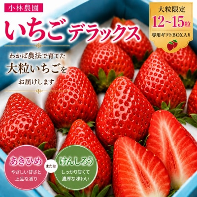 ■小林農園■いちごデラックス(25MZ.)