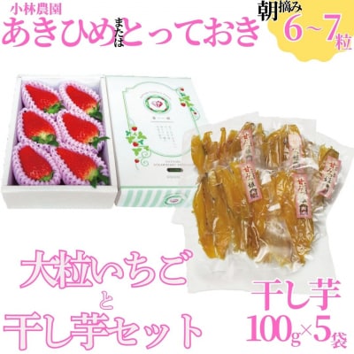 ■小林農園■大粒いちごと干し芋セット(26MZ.)