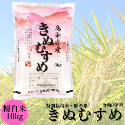特別栽培米『原の米・きぬむすめ』◇精白米10kg◇令和8年産(49MZ.)
