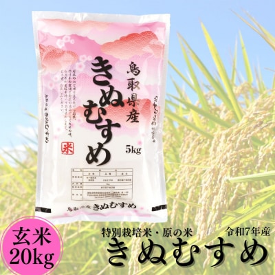 特別栽培米『原の米・きぬむすめ』◇玄米20kg◇令和8年産(51MZ.)