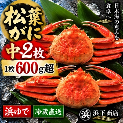 ■浜下商店■松葉ガニ中2枚〔浜ゆで〕(54MZ.)