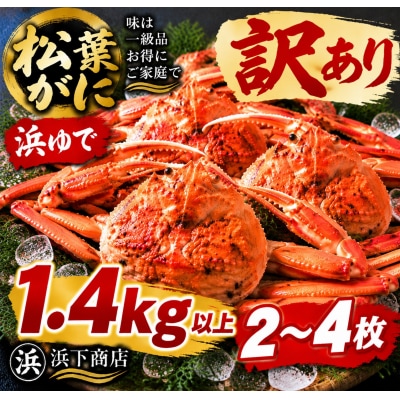 ■浜下商店■松葉ガニ2～4枚〔浜ゆで〕◆訳あり◆(55MZ.)