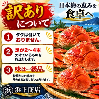■浜下商店■松葉ガニ2～4枚〔浜ゆで〕◆訳あり◆(55MZ.)