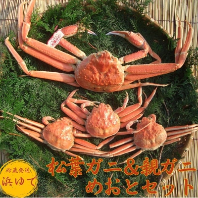 鳥取県産松葉ガニ&親ガニ◇めおと◇セット〔浜ゆで〕(56MZ.)
