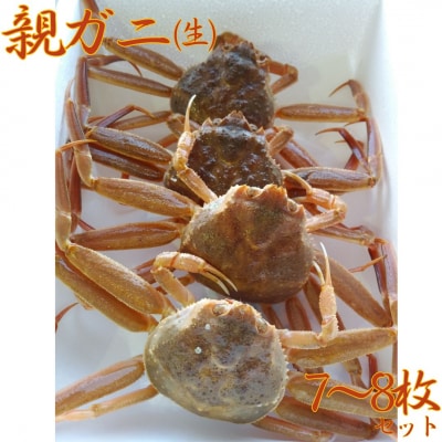 鳥取県産親ガニ〔生〕 7～8枚セット(57MZ.)