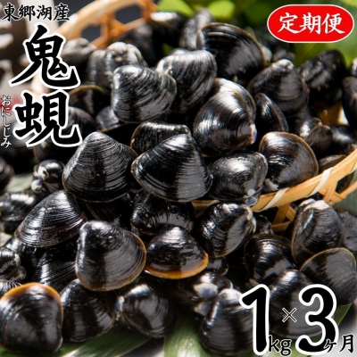 東郷湖産鬼蜆〔おにしじみ〕1kg〔定期便〕(61MZ.)