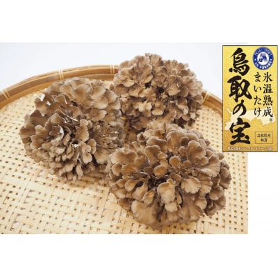 氷温熟成舞茸『鳥取の宝』大満足セット(104MZ.)
