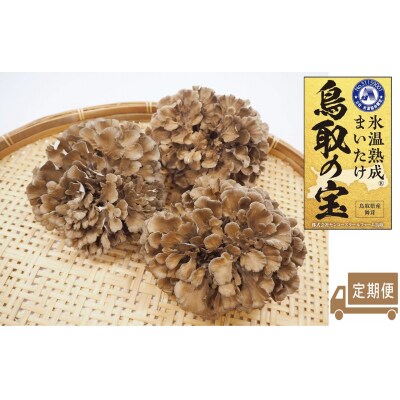 氷温熟成舞茸『鳥取の宝』大満足セット〔定期便〕(105MZ.)