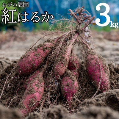 おがわ農園 紅はるか3kg(110MZ.)
