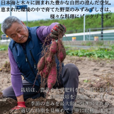 おがわ農園 紅はるか3kg(110MZ.)