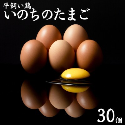 平飼い鶏の『いのちのたまご』30個(111MZ.)
