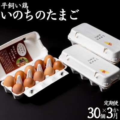 平飼い鶏の『いのちのたまご』30個×3ヶ月〔定期便〕(113MZ.)