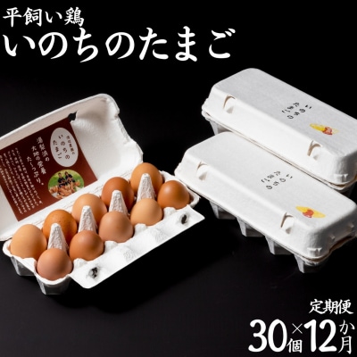 平飼い鶏の『いのちのたまご』30個×12ヶ月〔定期便〕(114MZ.)
