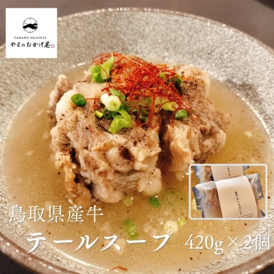 ◆鳥取県産牛◆テールスープ420g×2袋(124MZ.)