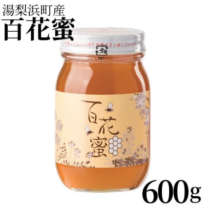 湯梨浜町産 百花蜜600g(133MZ.)