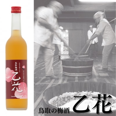 鳥取の梅酒『乙花〔おとか〕』(136MZ.)