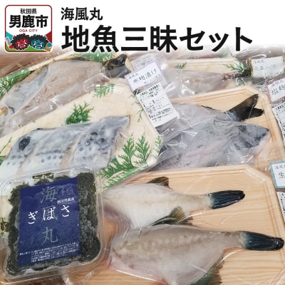 海風丸「地魚三昧セット」 秋田県 男鹿市 漬け魚 一夜干し|23_umk-030101