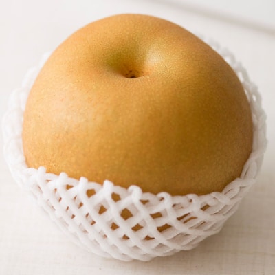 先行受付 和梨 あきづき 自家用 5kg [三条果樹専門家集団] 【010P063】