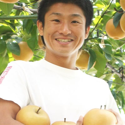 先行受付 和梨 あきづき 自家用 5kg [三条果樹専門家集団] 【010P063】