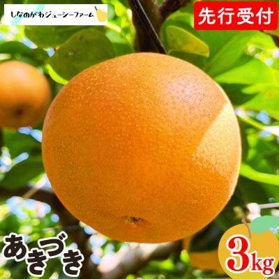 先行受付 和梨 あきづき 約3kg 令和8年度 しなのがわジューシーファーム 【010S486】
