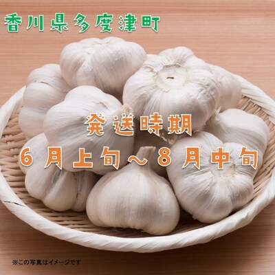 多度津町産　乾燥にんにく【B-21】