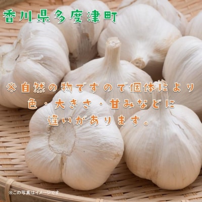 多度津町産　乾燥にんにく【B-21】