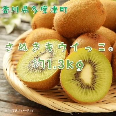香川県オリジナルキウイフルーツ「さぬきキウイっこ(R)」1.3kg【A-46】