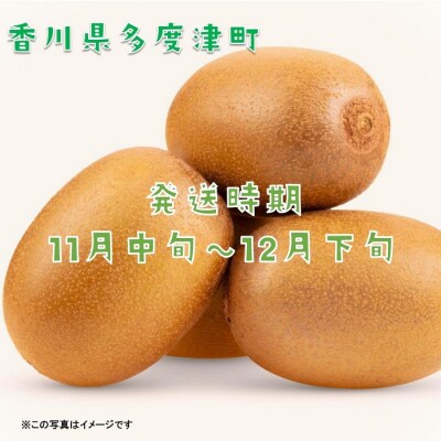 香川県オリジナルキウイフルーツ「さぬきキウイっこ(R)」1.3kg【A-46】