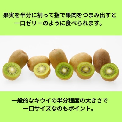 香川県オリジナルキウイフルーツ「さぬきキウイっこ(R)」1.3kg【A-46】
