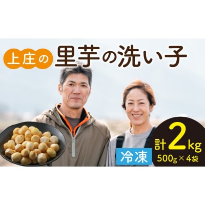 【先行予約】皮むきいらず、煮っ転がしにおすすめ!上庄の里芋の洗い子【冷凍】500g × 4 計2kg
