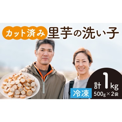 【先行予約】皮むきいらず、煮っ転がしに最適!上庄の里芋の洗い子 1kg【カット冷凍】