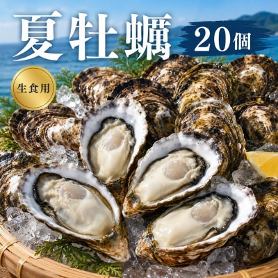 多度津白方 りょうせん夏牡蠣20個(生食用)【A-159】