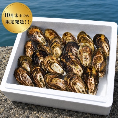 多度津白方 りょうせん夏牡蠣20個(生食用)【A-159】