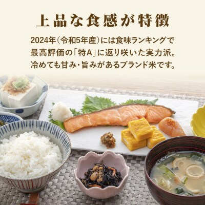 【令和7年産 白米】 宮城県産 つや姫 2kg 丹野米穀店|21_trc-4x0201h