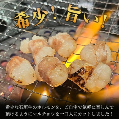 希少な特選石垣牛のホルモンをご家庭で!!マルチョウ300g×2パック