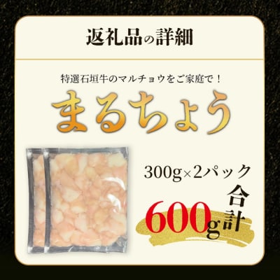 希少な特選石垣牛のホルモンをご家庭で!!マルチョウ300g×2パック