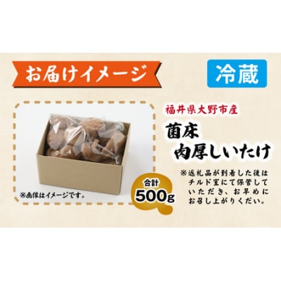 菌床肉厚しいたけ(福井県大野市産)500g