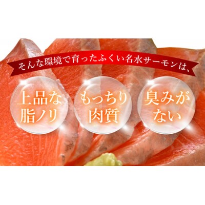 【希少】福井県大野市産 ふくい名水サーモン 450g(刺身用)真空冷凍 150g×3パック