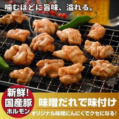 大美のとんちゃん(白)豚ホルモン シロ 味噌ダレ 1.5kg(500g×3パック)