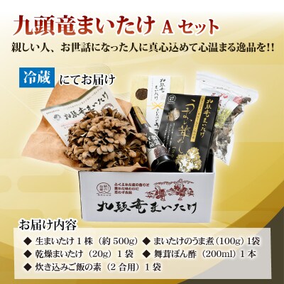 九頭竜まいたけとうま煮・ごはんの素など加工品セット(Aセット) 