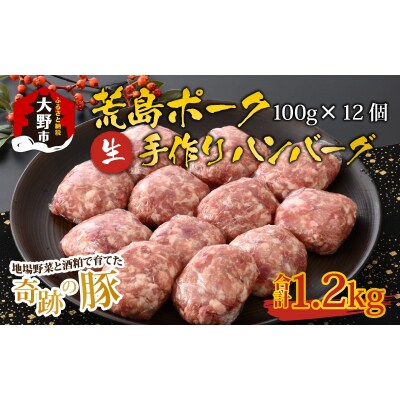 【福井のブランド豚肉】荒島ポーク 手作りハンバーグ100g×12個(計1.2kg)